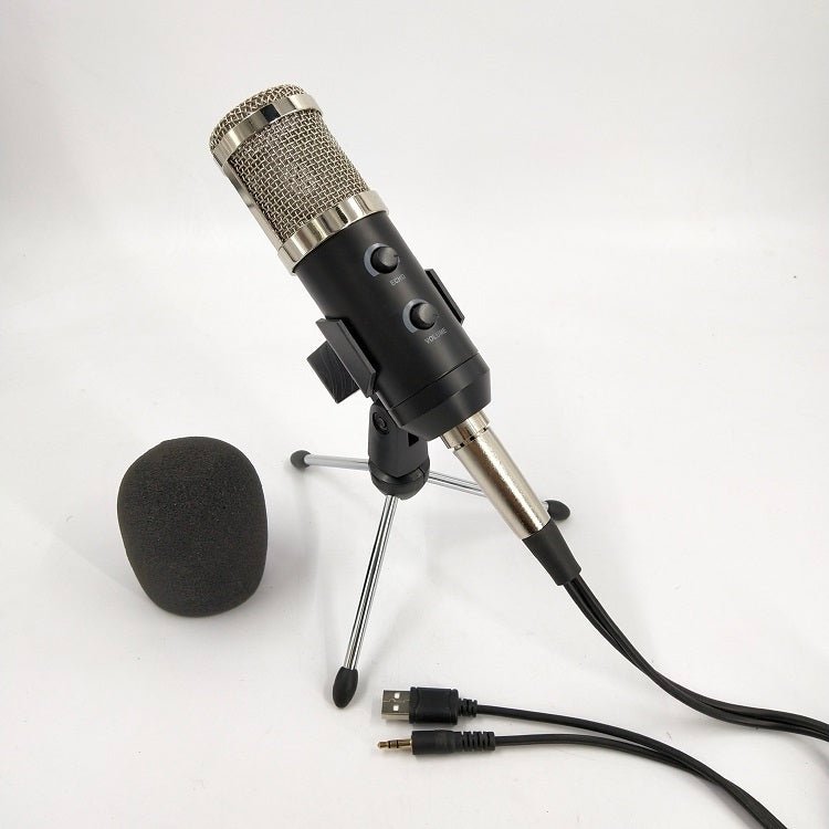 Reverb BM800 Microphone