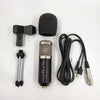 Reverb BM800 Microphone - Zambeel